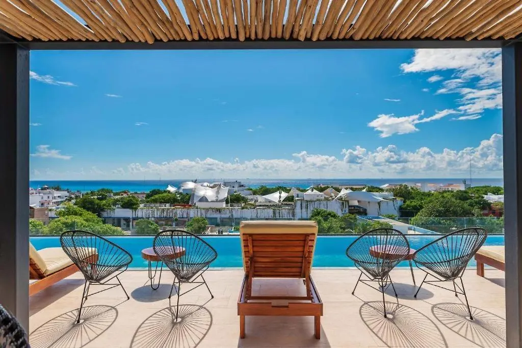Paseo Luxury House contacts