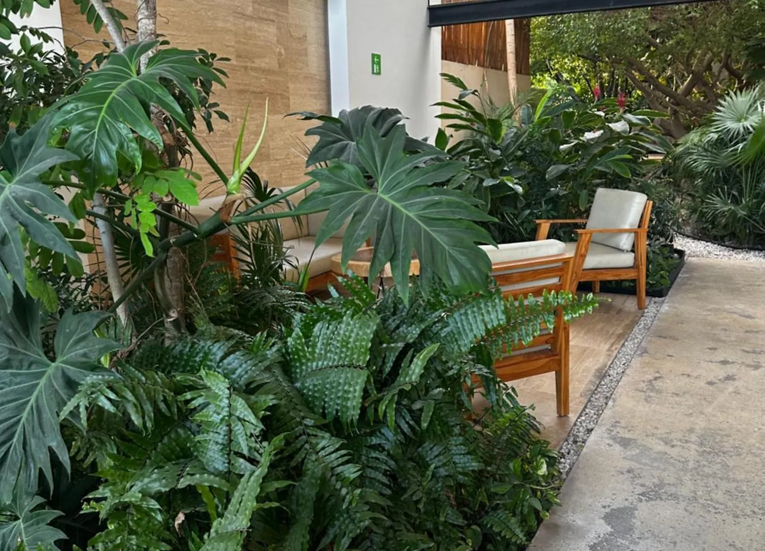 Paseo Luxury House Apartment Playa del Carmen 0*,  Mexico