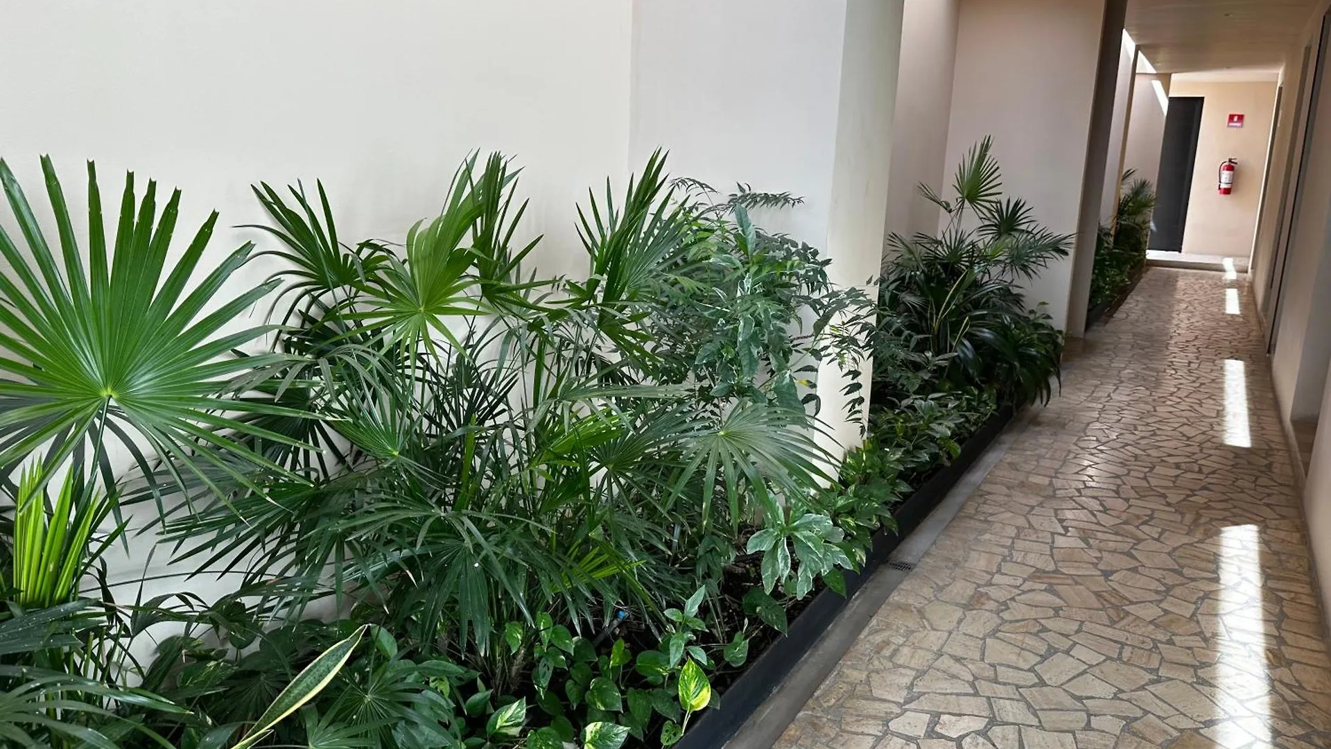 Paseo Luxury House Apartment Playa del Carmen